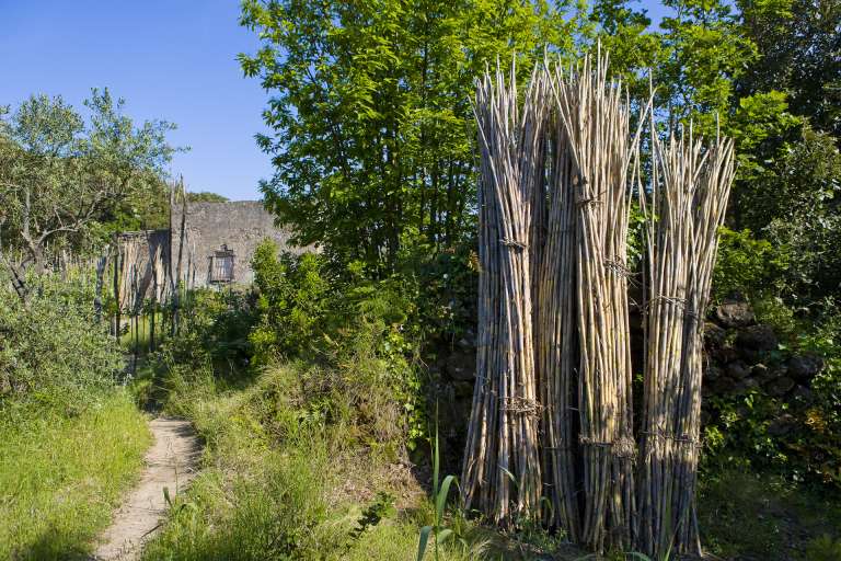 Лес Маддалены и Кретайо